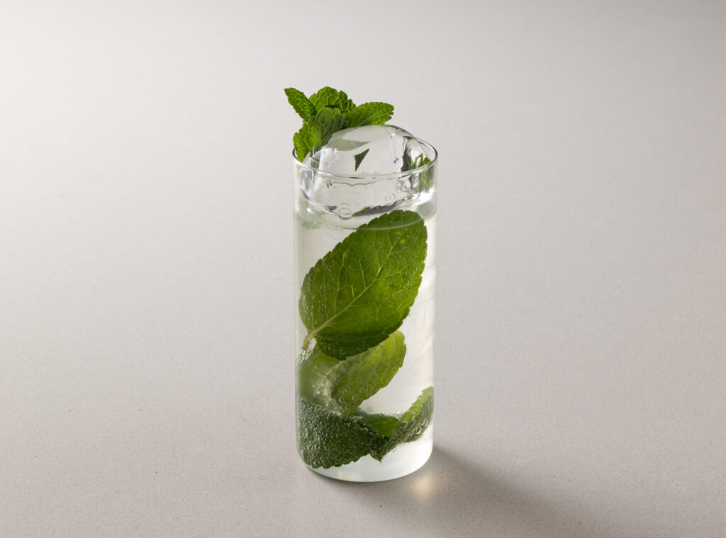 Mojito perfetto da professionista